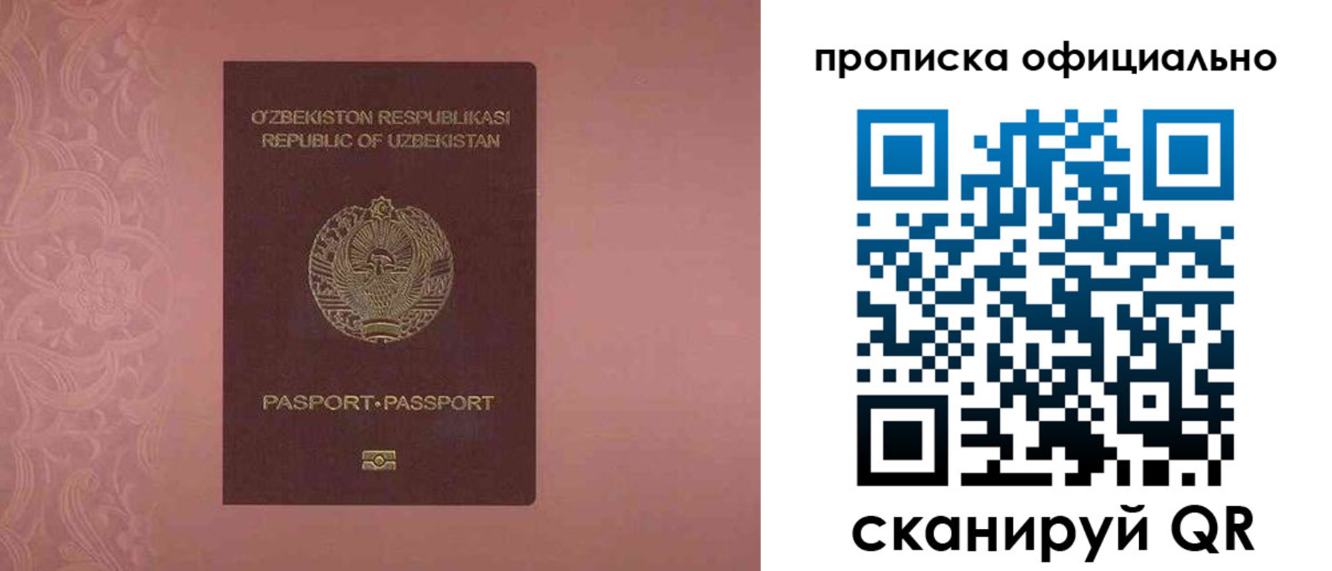 прописка гарантия в Шелехове